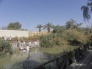 8 Day 7 Night Jordan Tour 2
