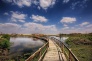 Eastern Desert Castles, Shaumari Reserve and Azraq Wetlands Day Trip from Amman 5