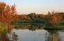 Eastern Desert Castles, Shaumari Reserve and Azraq Wetlands Day Trip from Amman 6