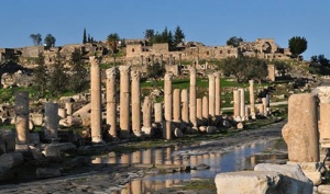 Jerash Ajloun Um Qais Day Tour from Amman 1