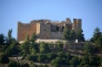 Jerash and Ajloun Castle Day Tour from Amman 4