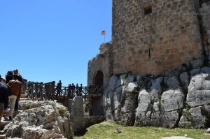 Jerash and Ajloun Castle Day Tour from Amman 1