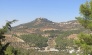 Jerash and Ajloun Day Trip from the Dead Sea