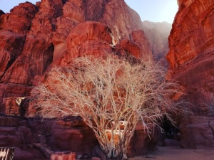 4 day 3 night tour Classic Petra & Wadi Rum Tour from Aqaba Airport  4