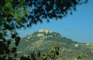 Ajloun Castle From Petra 