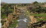 Umm Qais from Petra 